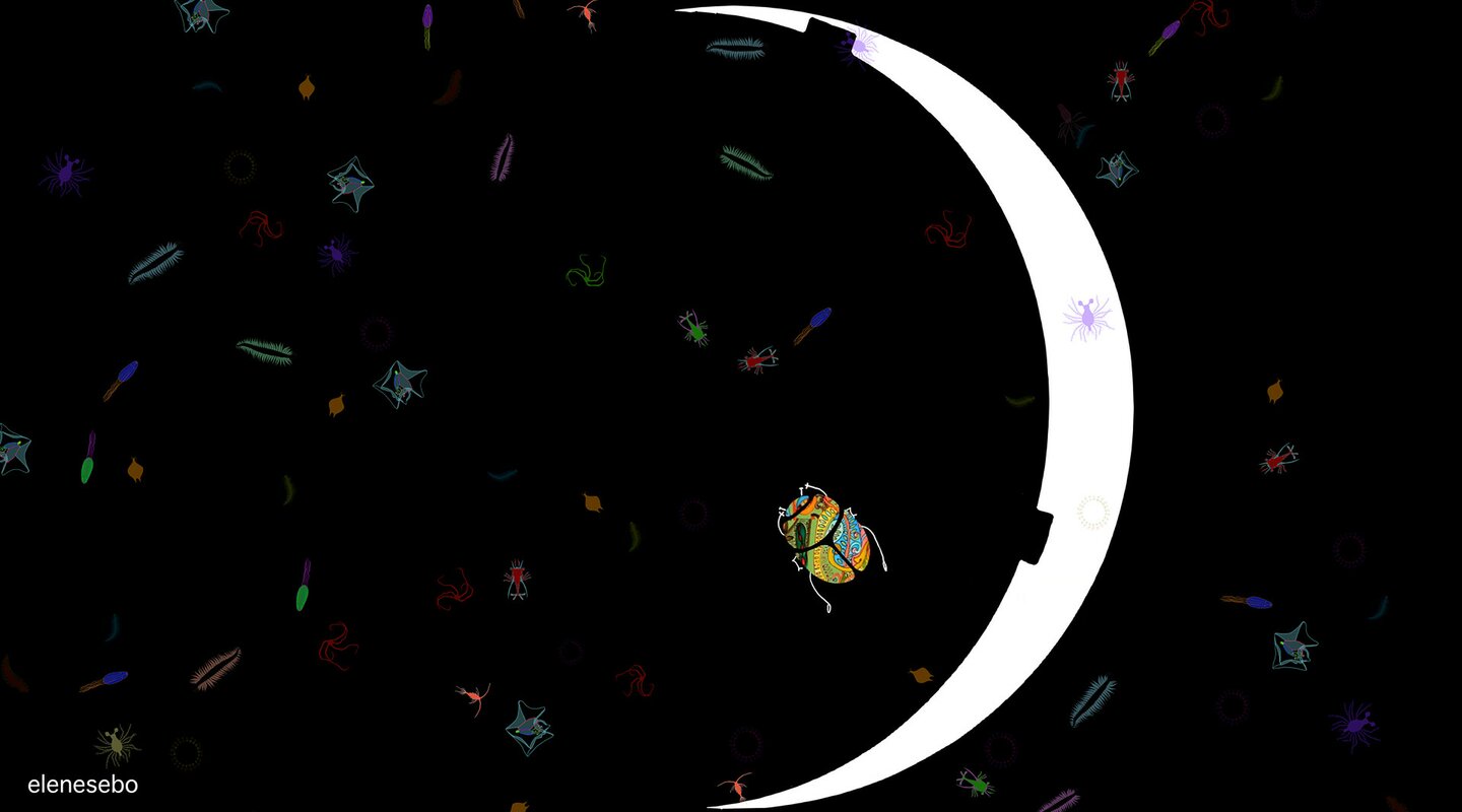 A Little Beetle Returns | © A Little Beetle Returns, Elene Sebiskveradze, GE 2023