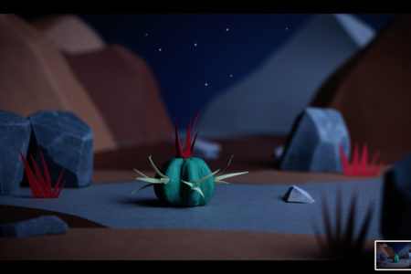 Nocturnal Cacti, Inbal Lavi, IL 2024_01.png