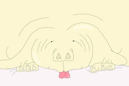 My Good Boy, Sara Priorelli, HU 2025_05.jpg My Good Boy, Sara Priorelli, HU 2025_05.jpg