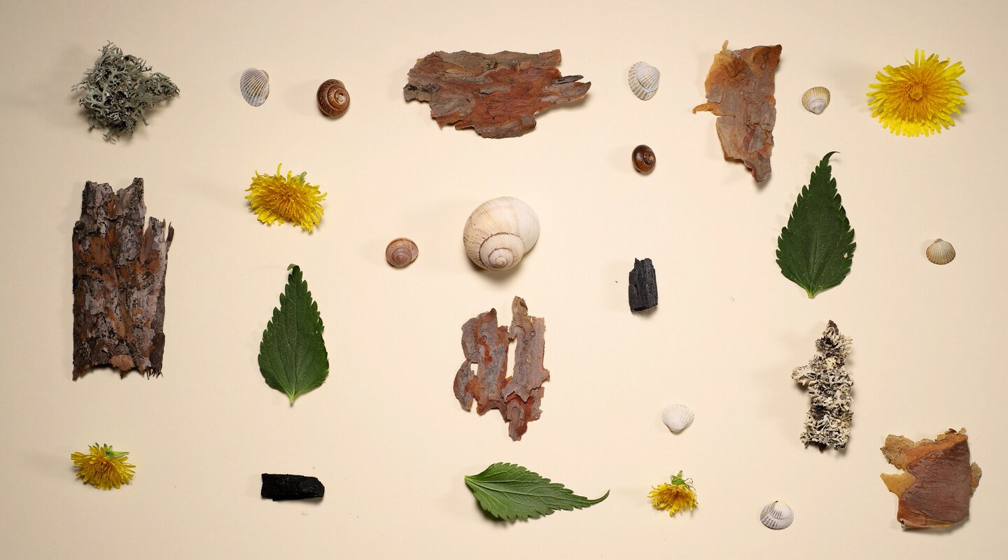 Anima Natura