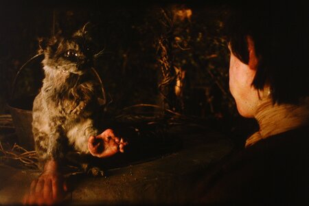 The Cat with Hands, Robert Morgan, GB 2001_01.jpg