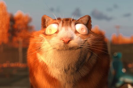 Catisfaction, André Almeida, PT 2022_03.jpeg