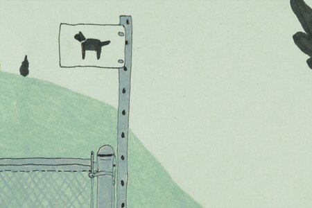 Cat Park,Rachel Samson, CA 2020_01.jpg